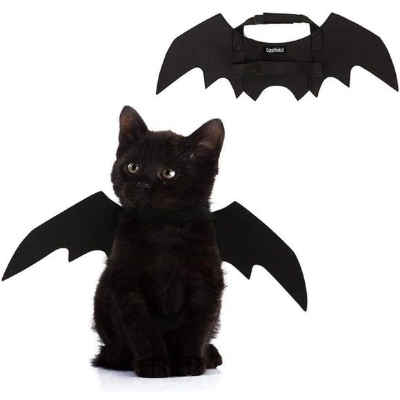 Cat Dog Bat Wings Puppy Kitten Kitty Halloween Vampire Costume ~Host Pick~x2 - Picture 6 of 16